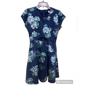 Francesca’s Blue Rain - Navy Floral Dress